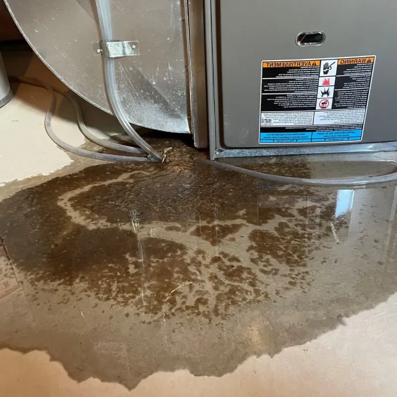 Pipe Burst and Leak Restoration in Centerville, TN
