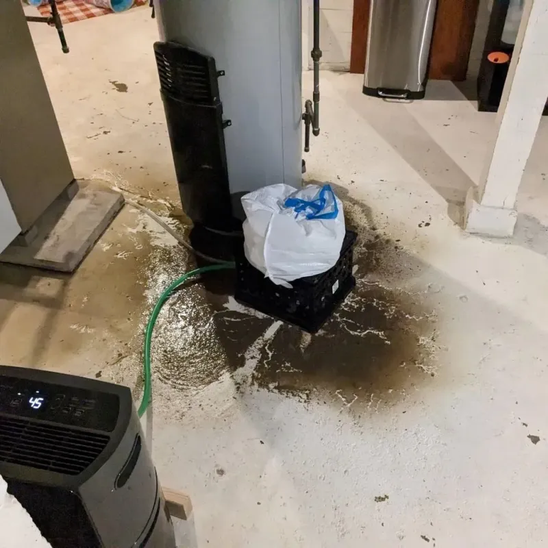 Sewage Backup Cleanup Service in Centerville, TN
